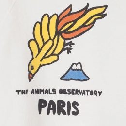 ◆키즈◆24SS 키즈 샤크 프린팅 맨투맨 화이트 S24030 245CC